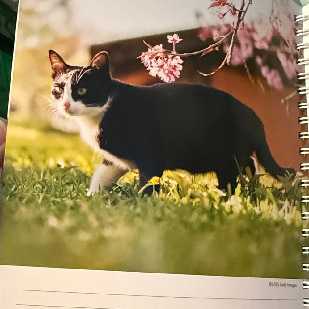 Cat Lovers 2026 Planner BNWT and Mug Set - Blue and White
